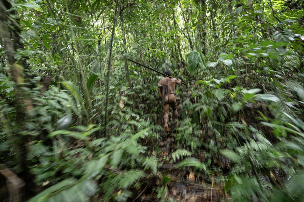 Groß (3 - Waorani- The Indigenous Defenders of the Amazon - 7eb9e8cf-5255-439a-9dae-d8fb19.jpeg