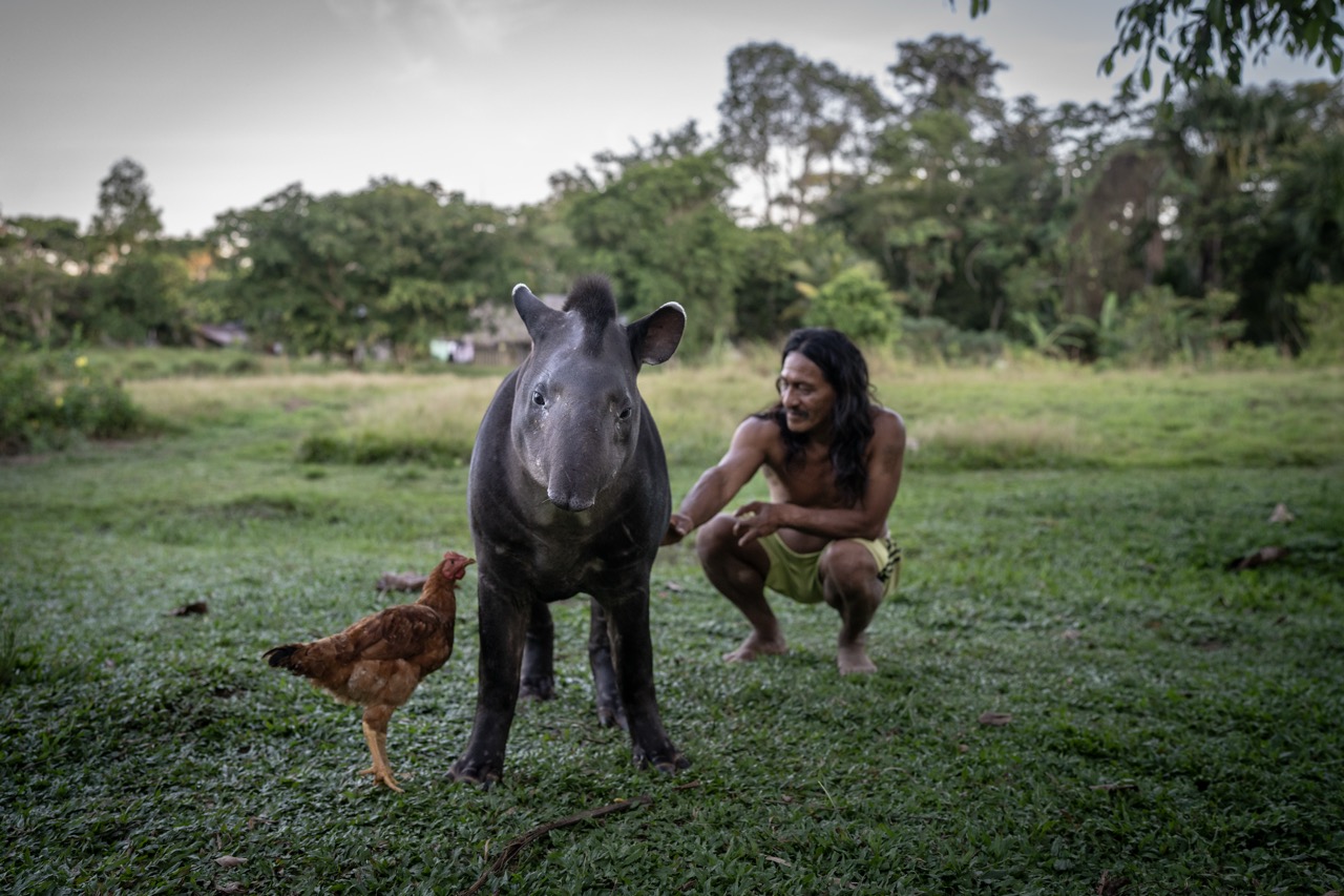 Groß (5 - Waorani- The Indigenous Defenders of the Amazon - 42ab563b-936a-4d73-ae79-015871.jpeg