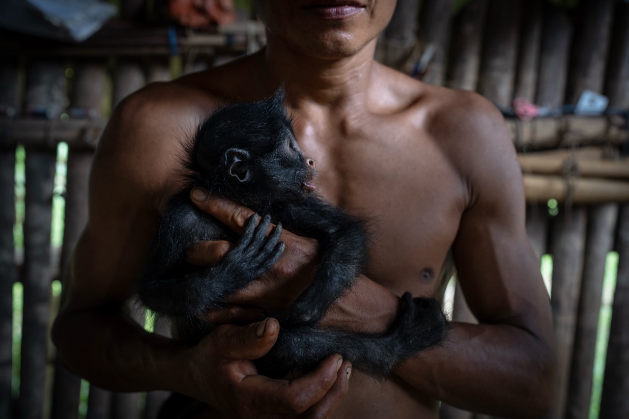 Groß (8 - Waorani- The Indigenous Defenders of the Amazon - 0d916620-6c11-4a87-8e4e-629f5b.jpeg