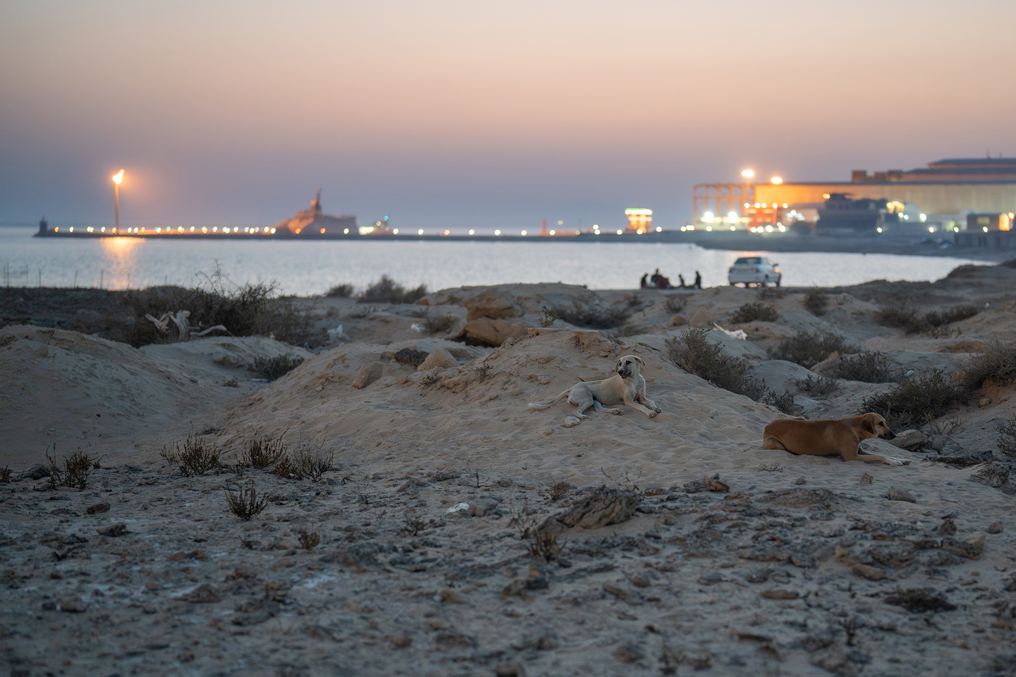 10 - Where Nesting Stops - fc9234a7-0cb8-4cb1-b41a-b6f233c85ede.jpg