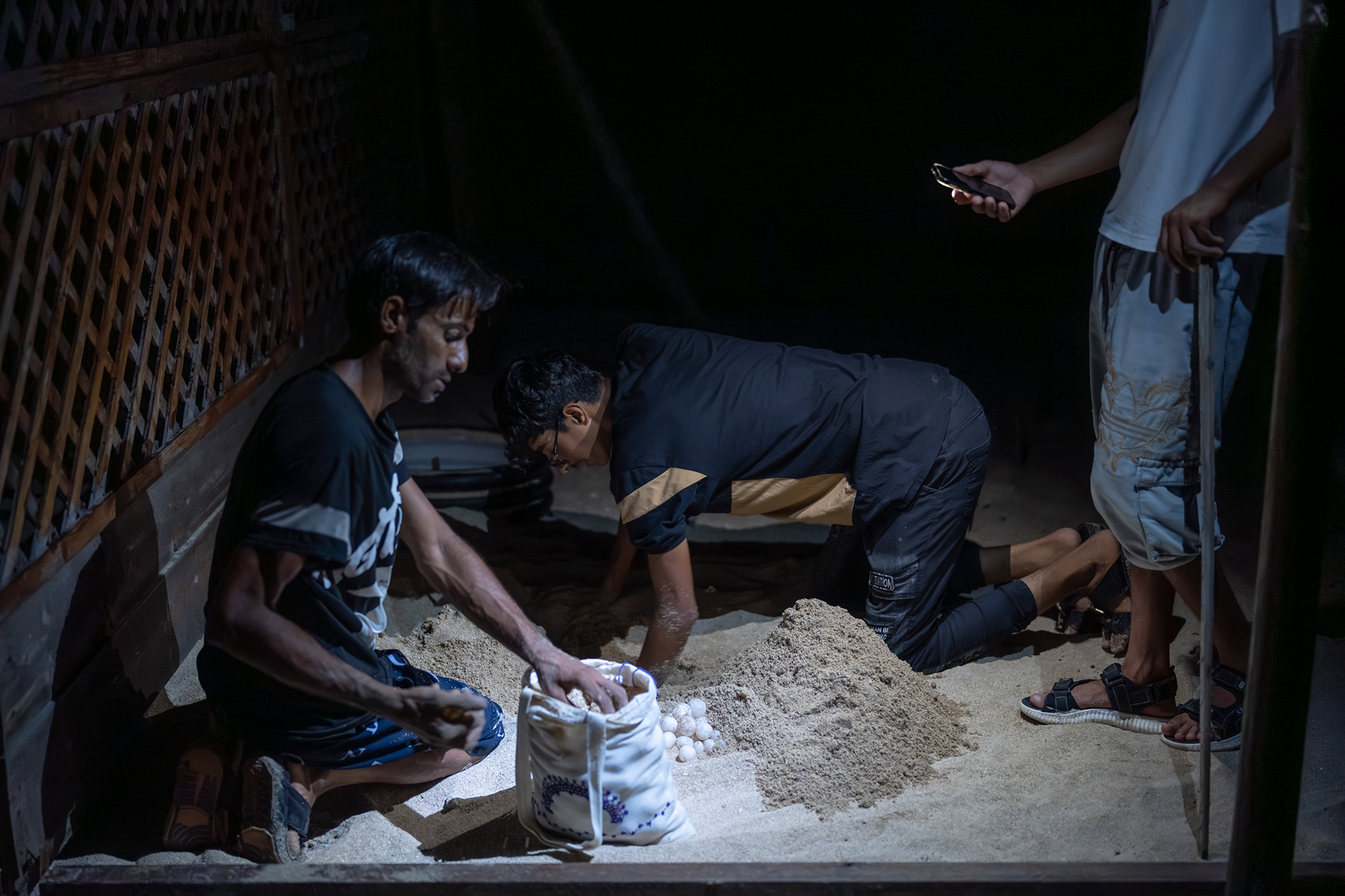 1 - Reburying the Nest - 20834738-e0d4-4ee9-9b88-9b2f1b0b1007.jpg