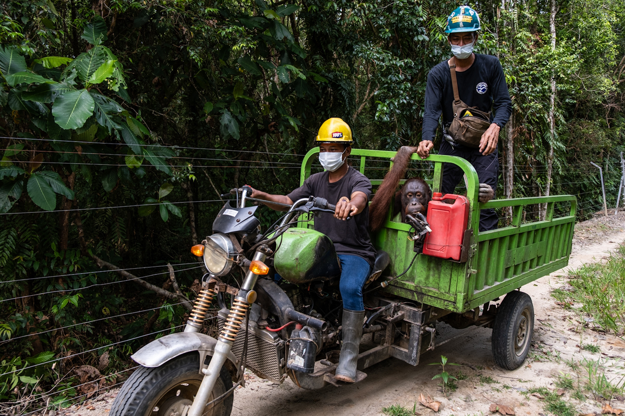 2 - BEYOND RESCUE 2 - adb0b326-7d8f-46e2-9bed-ce43d44fe386.jpg