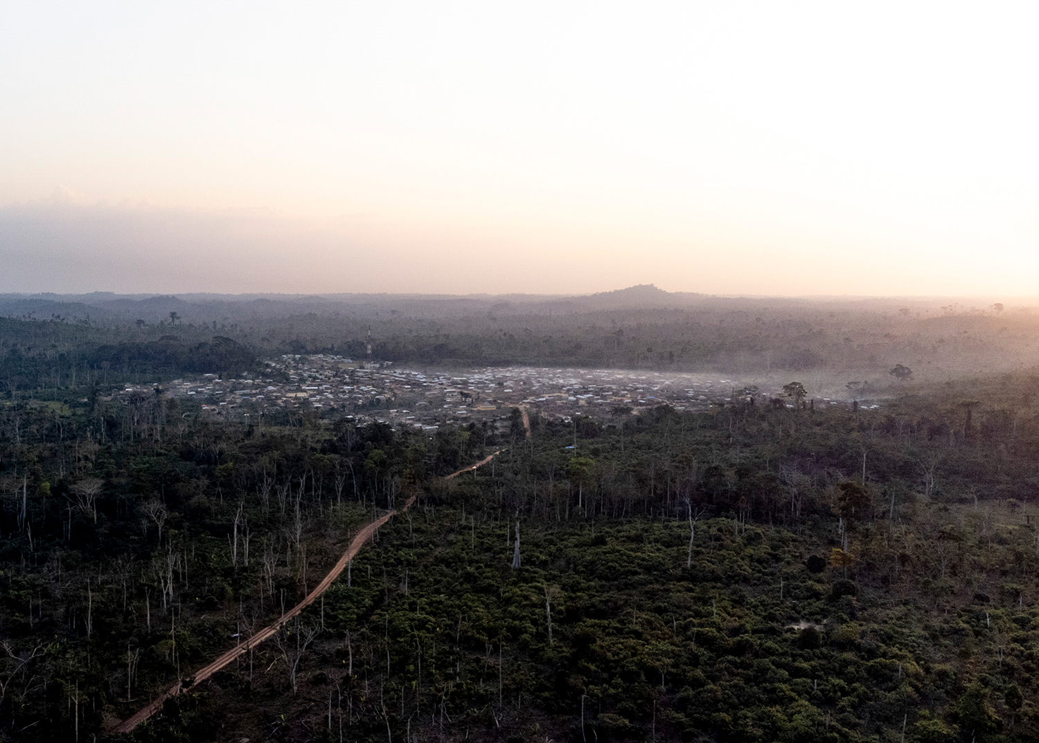Une côte sans ivoire
