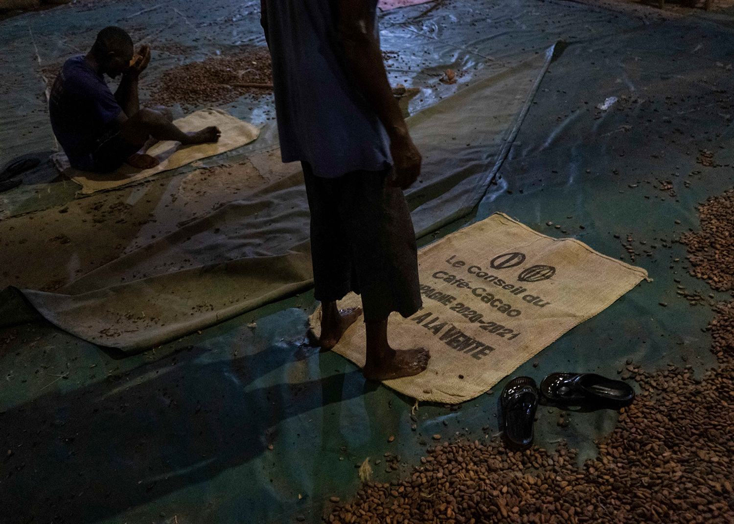 Une côte sans ivoire