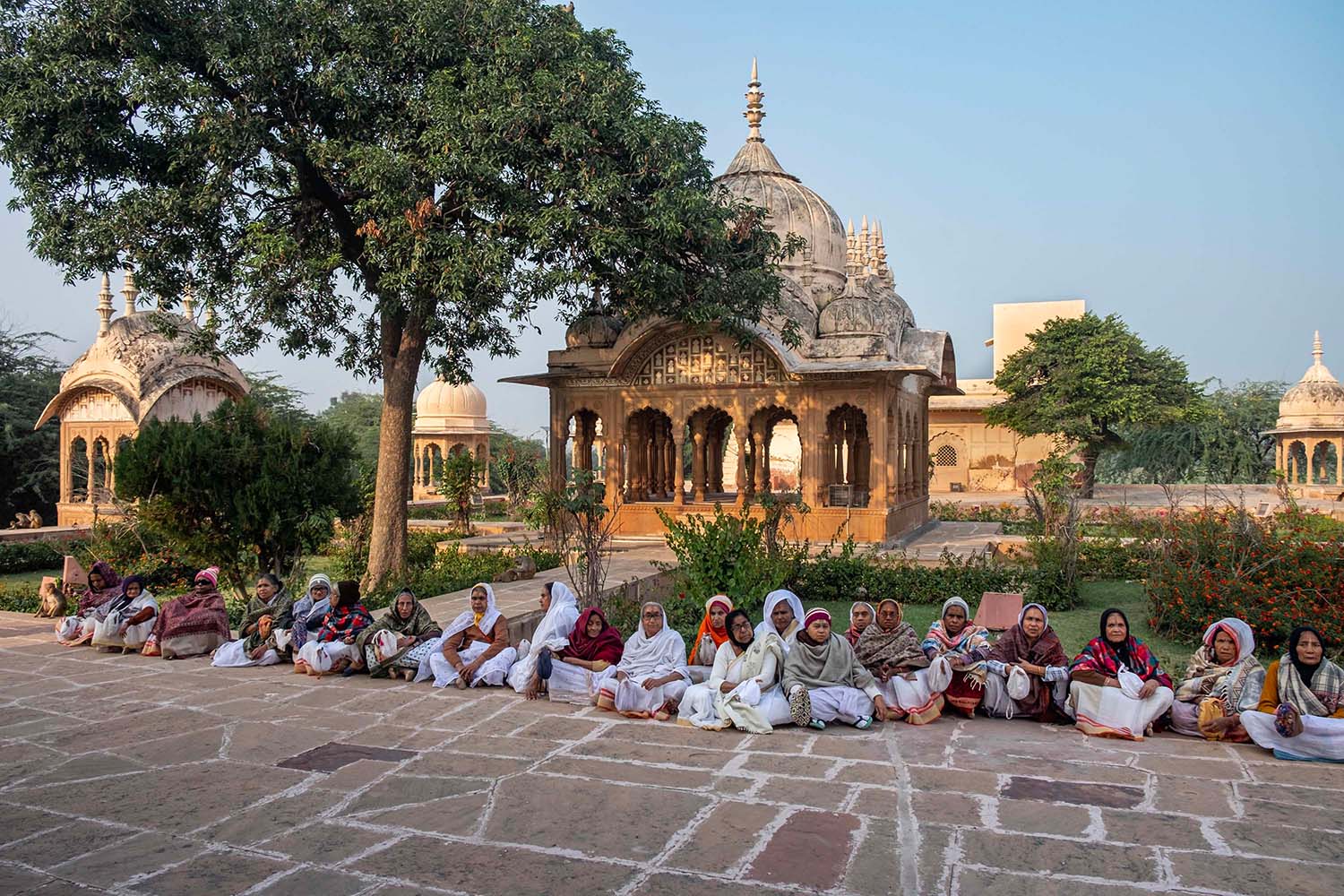 Widows of Vrindavan
