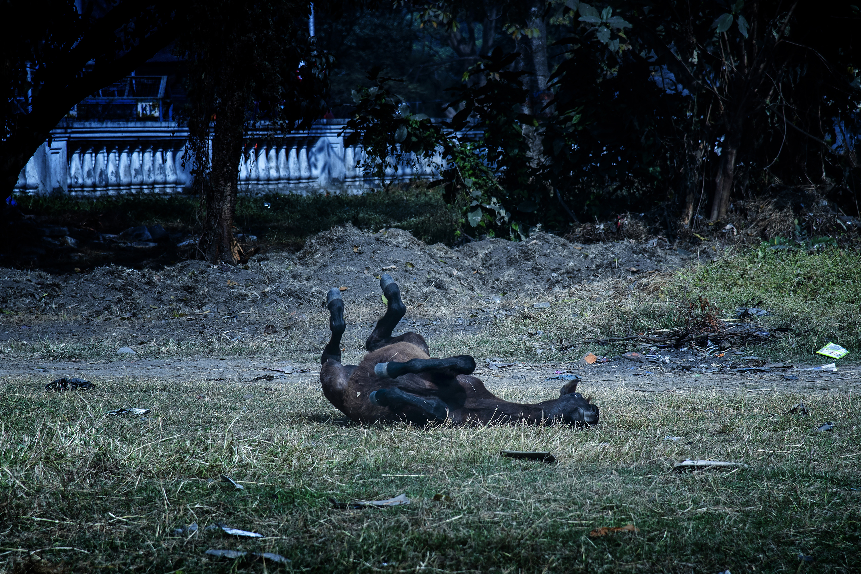 Something Watching You