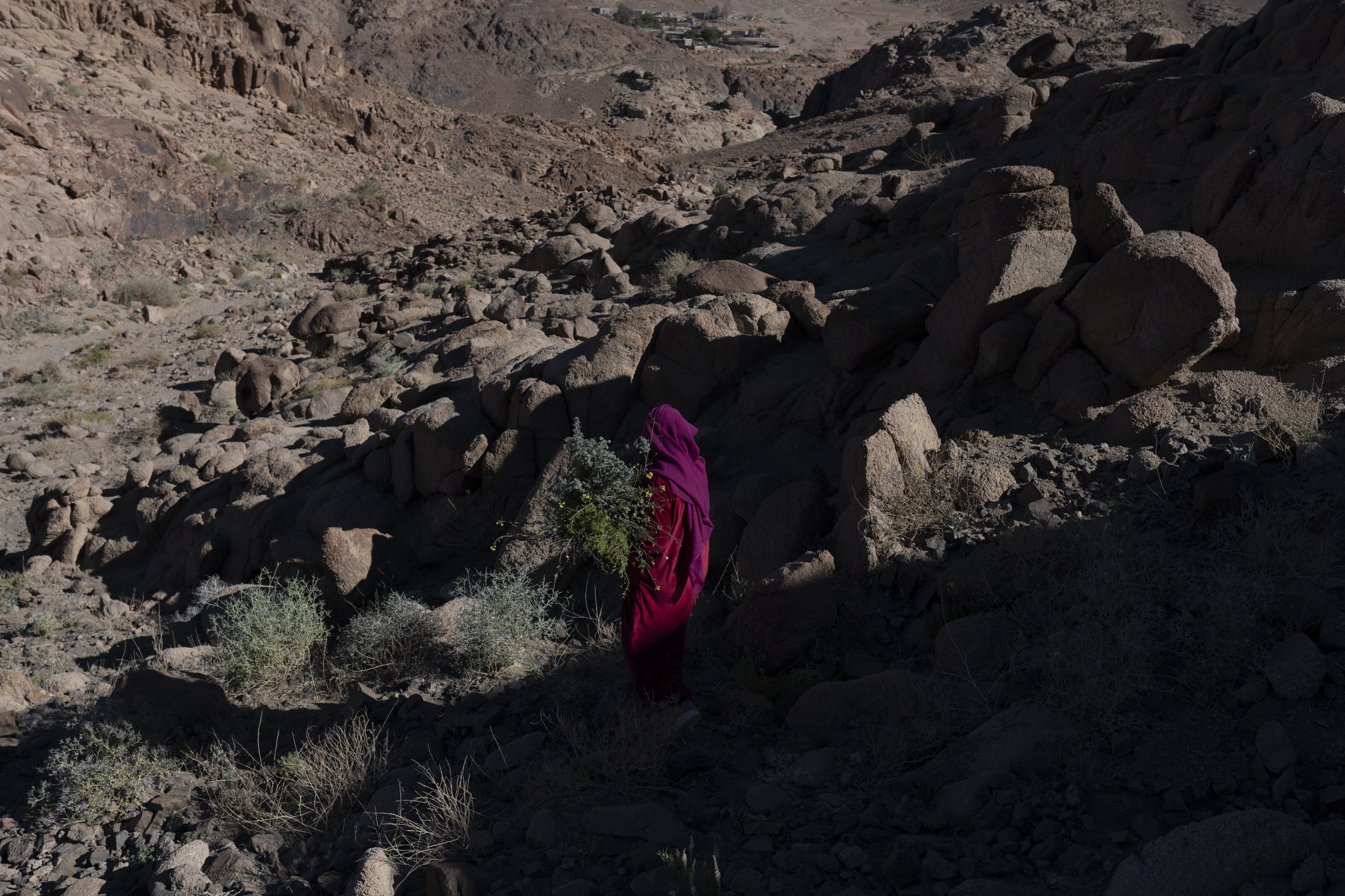 The Longing Of The Stranger Whose Path Has Been Broken