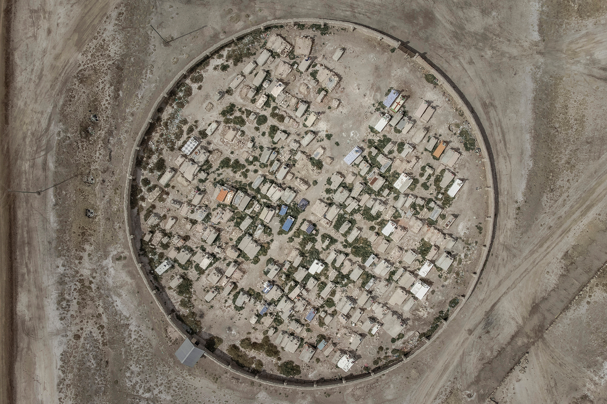 10 - A Cemetery Full of Life - ec13563e-cc4e-4485-8766-12d13581c48d.jpg