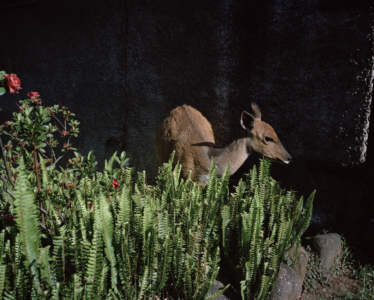 Groß (9 - Untitled- South Africa- November 2023 - a2302621-f5dd-4070-b1c4-57a36154bd70).jp