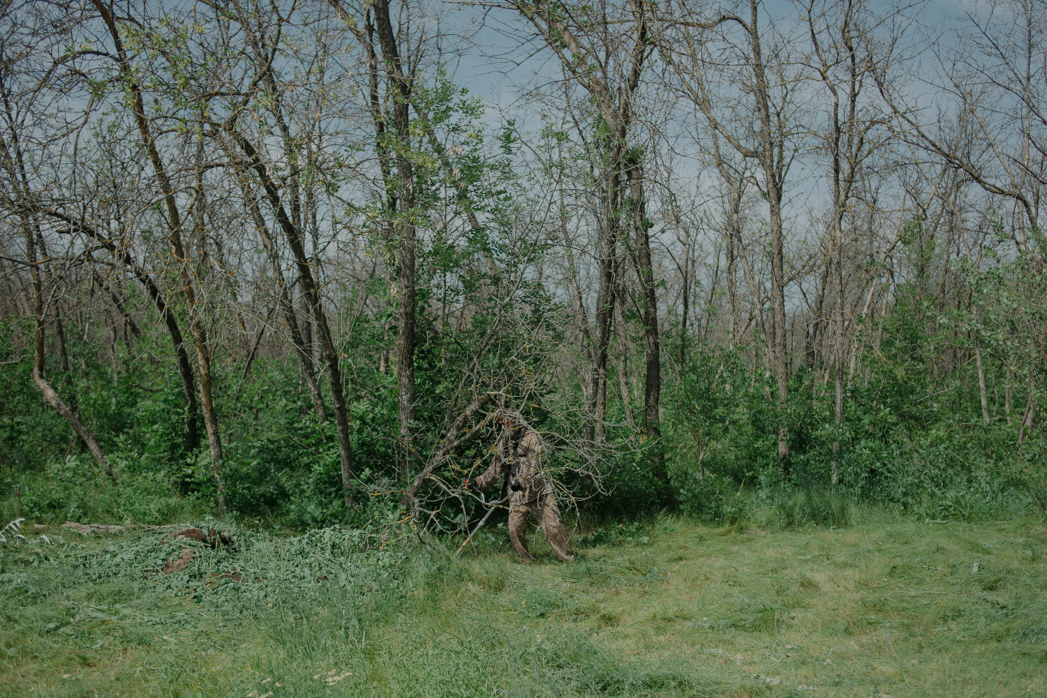 Lucrimax (ongoing project)