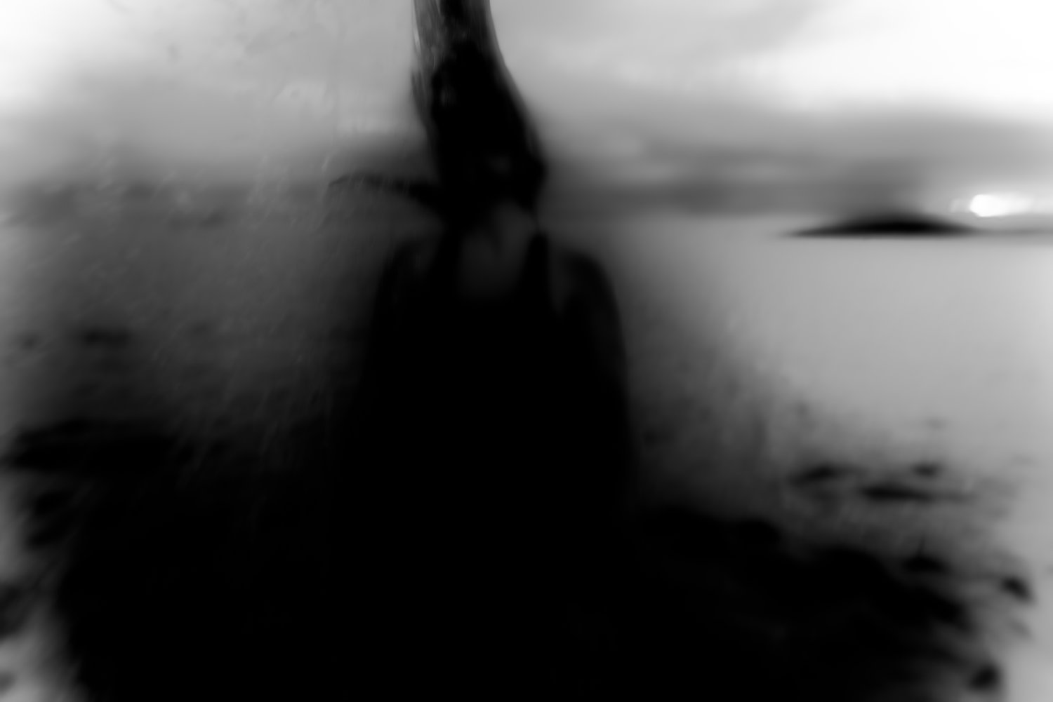 Joan of the Dark