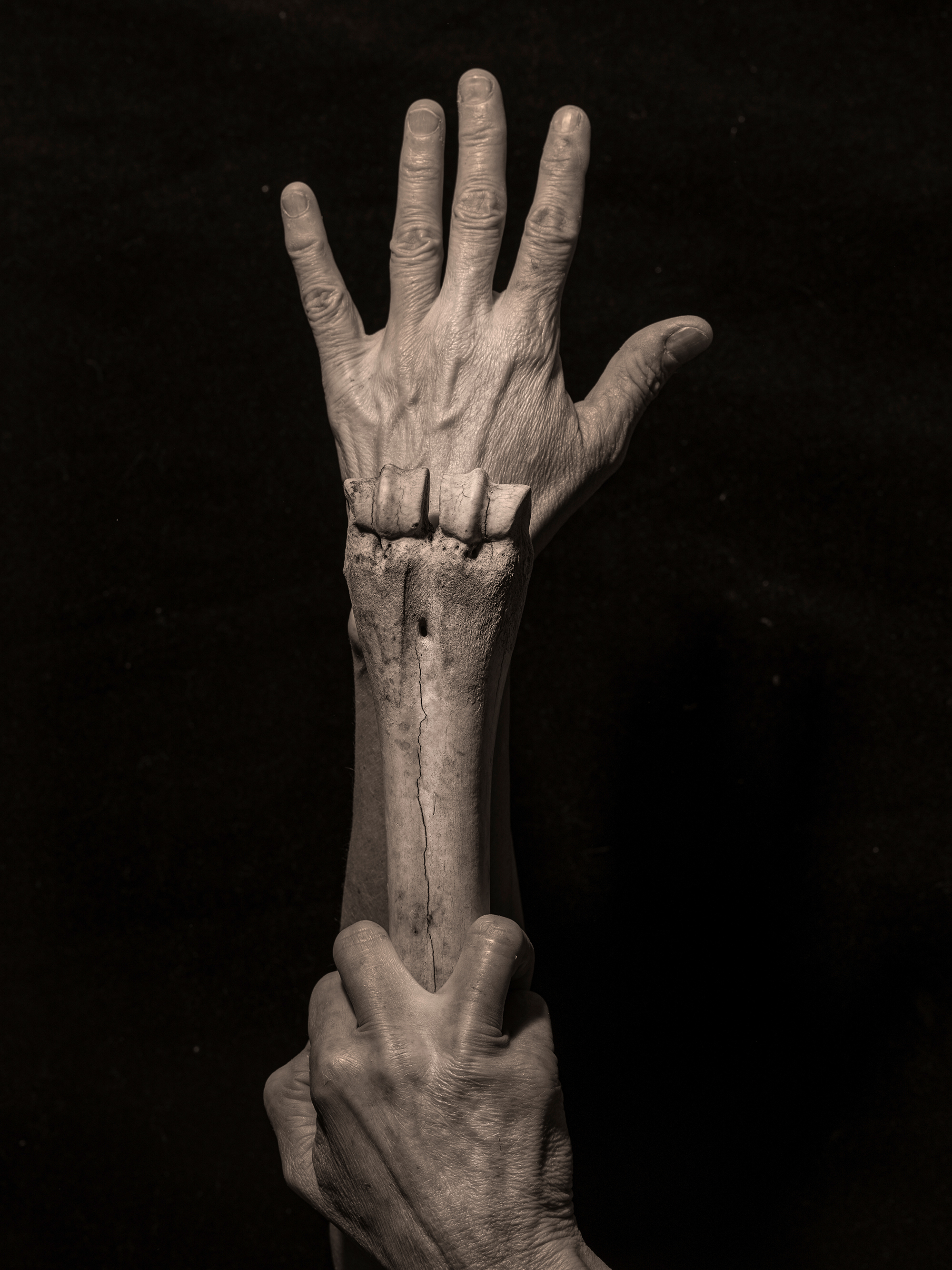 5 - humano 5 - b62709dd-92c4-41e8-8b7b-e9d8c0ab746d.jpg