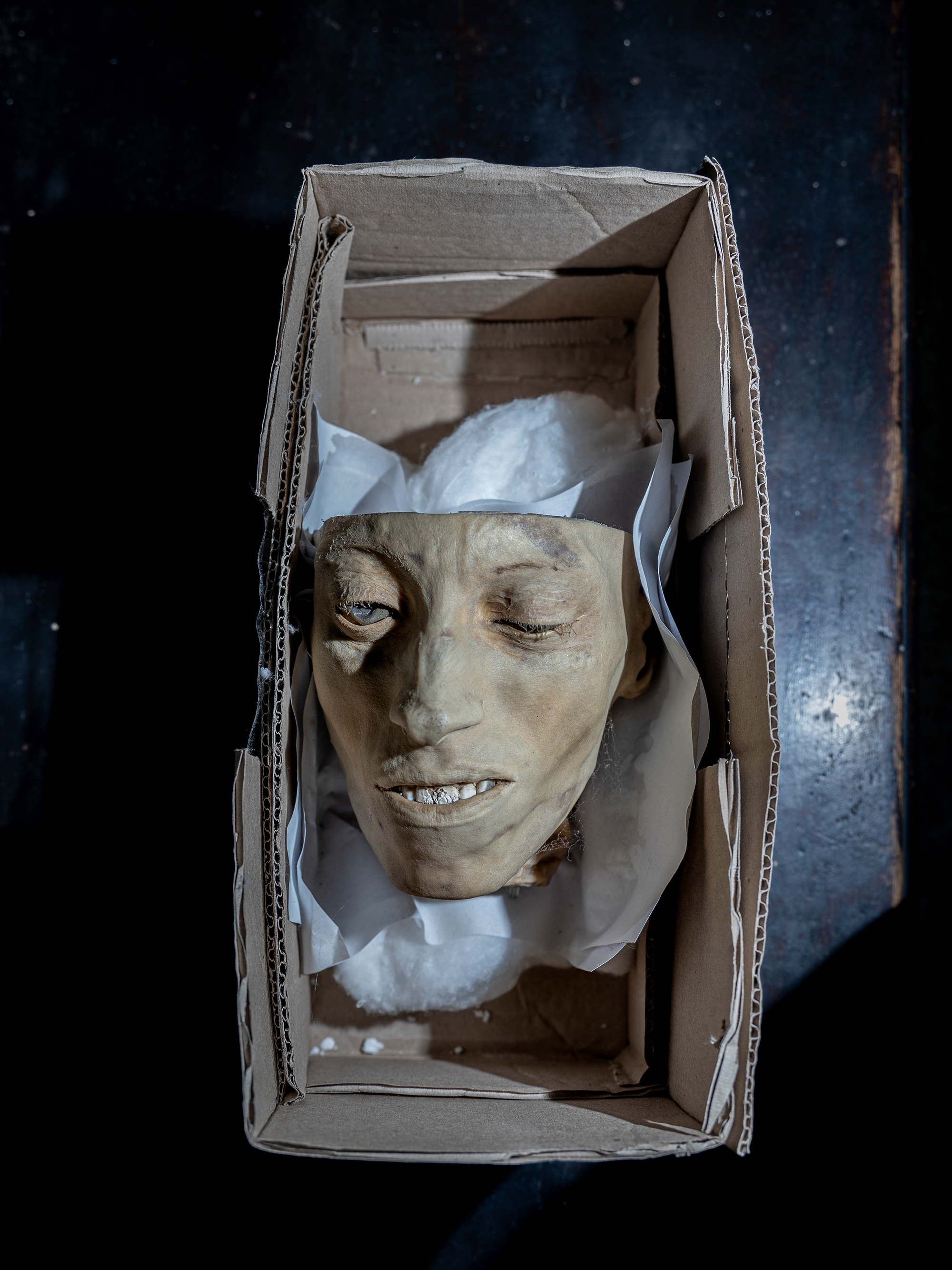 3 - humano 3 - 34fd2811-4ef5-44a2-90f1-5bde7eb2e87e.jpg