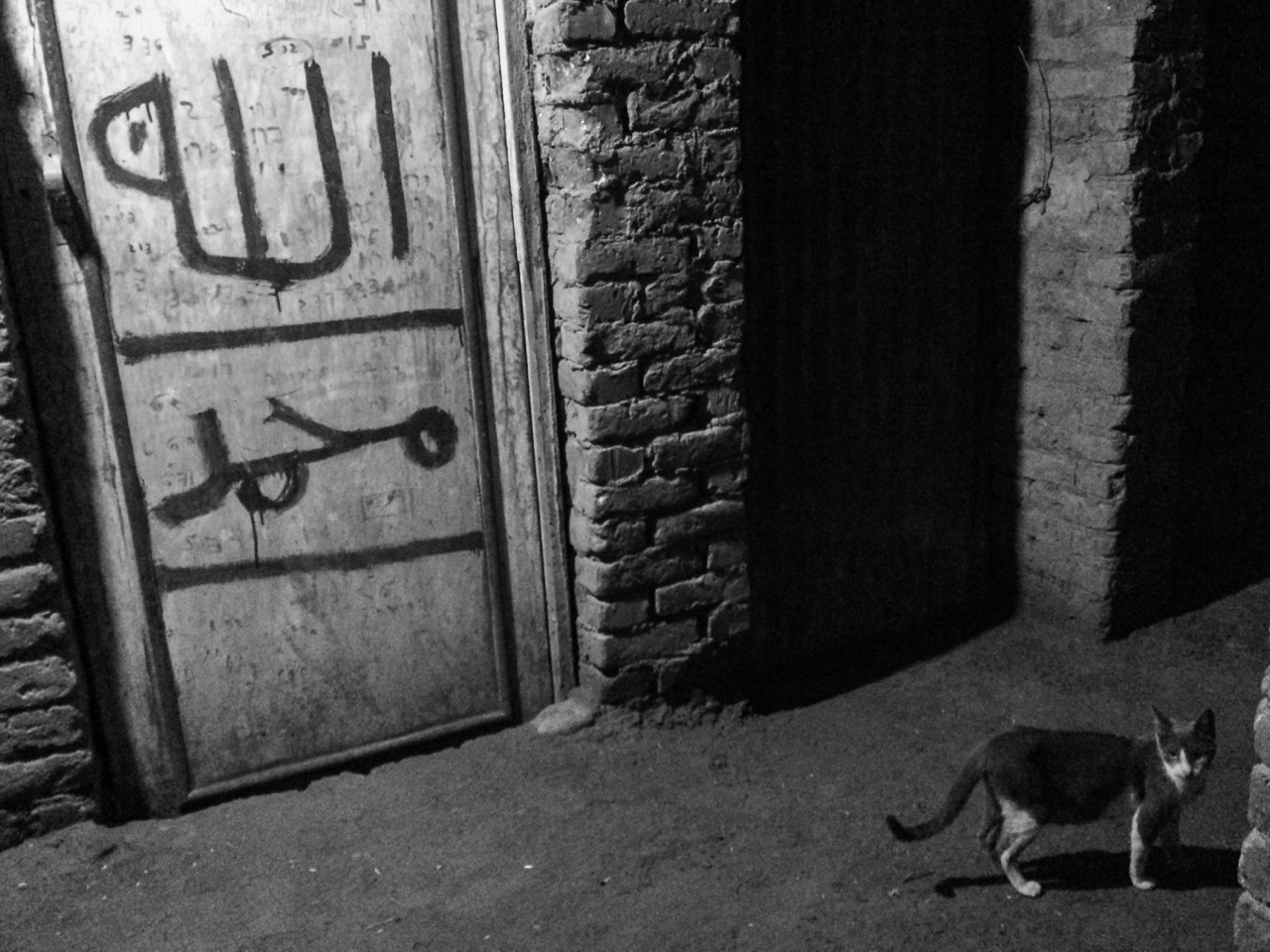 Groß (9 - Somaya_Abdelrahman_7 - 9c73e6bb-f100-41a4-942b-bfed4689690d).jpeg