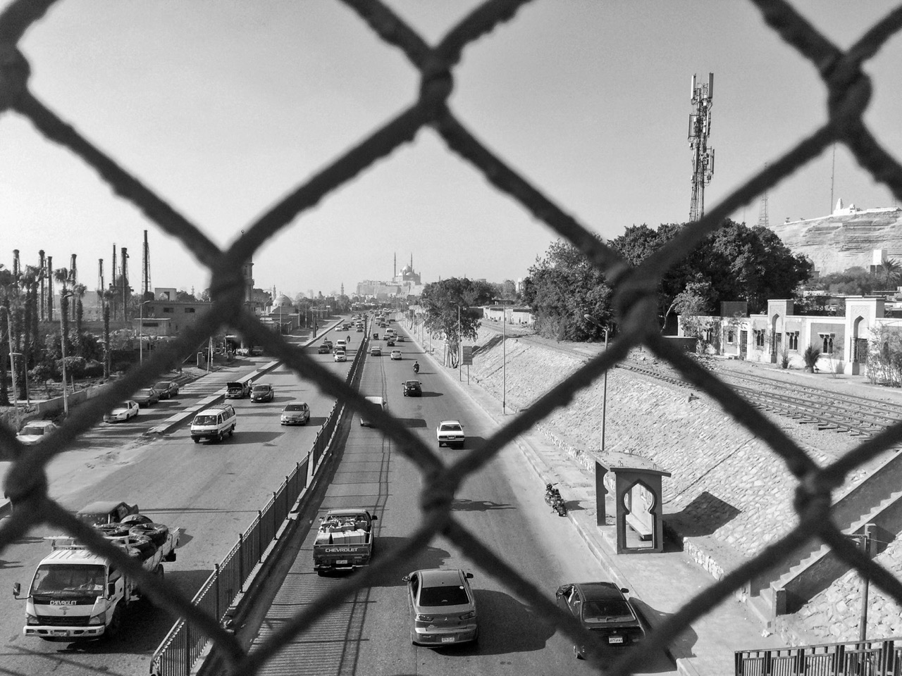 Groß (2 - Abdelrahman_Somaya_02 - b3b201bc-965e-4483-a263-cb71e8b96a77).jpeg