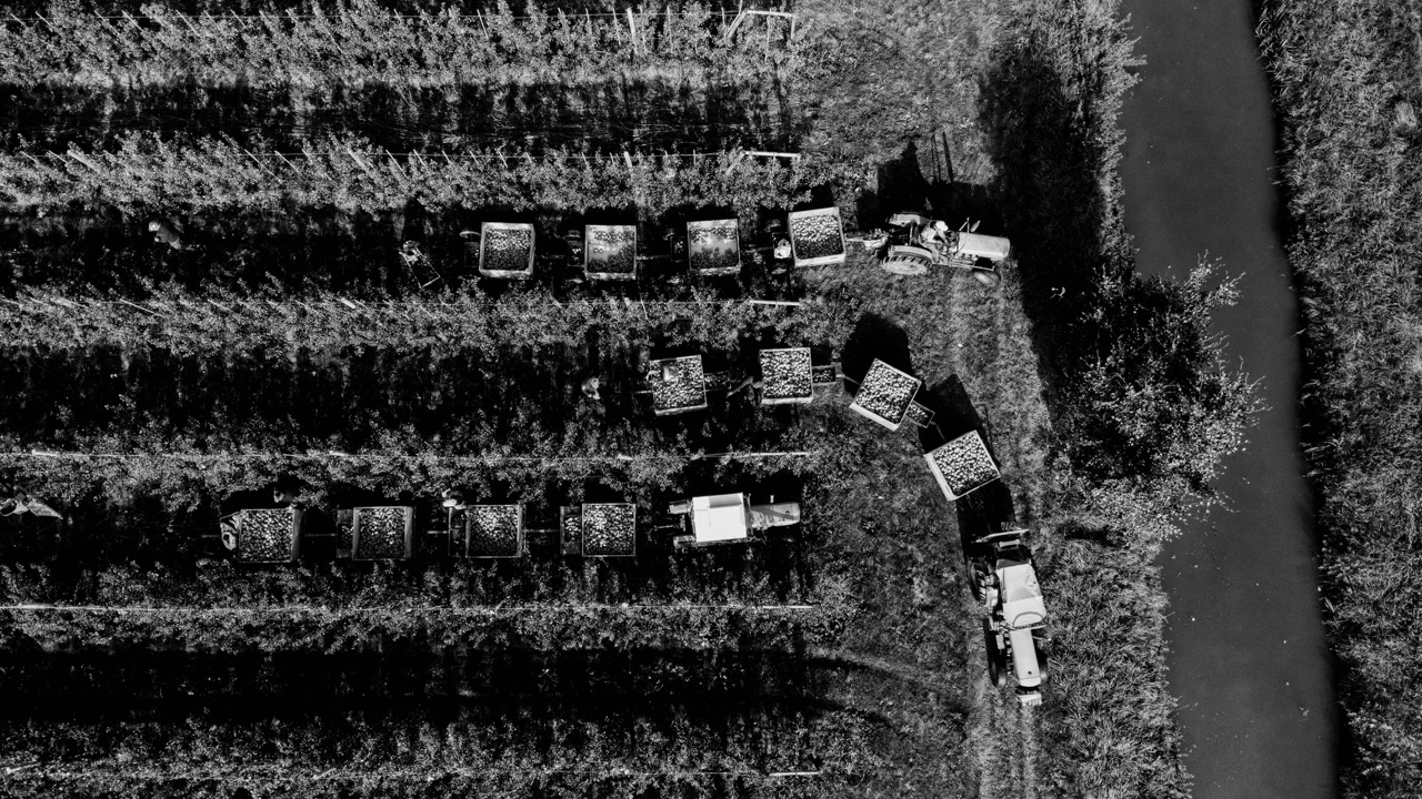 Groß (6 - 05- nomaden uit de oost - 7032115a-de00-47ff-8c92-1c481f91ee50).jpeg