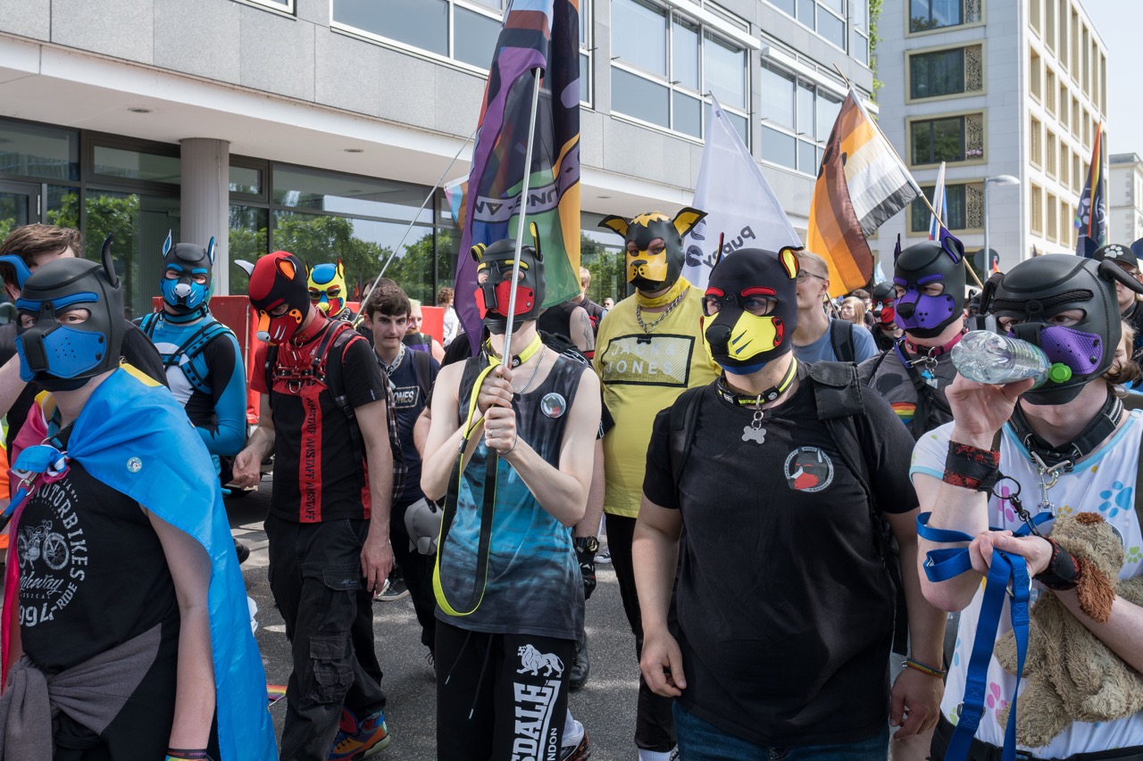 Groß (9 - Freie Wuffel_9 - d3231a92-f98a-44ee-9b06-0eb55a0e2799).jpeg