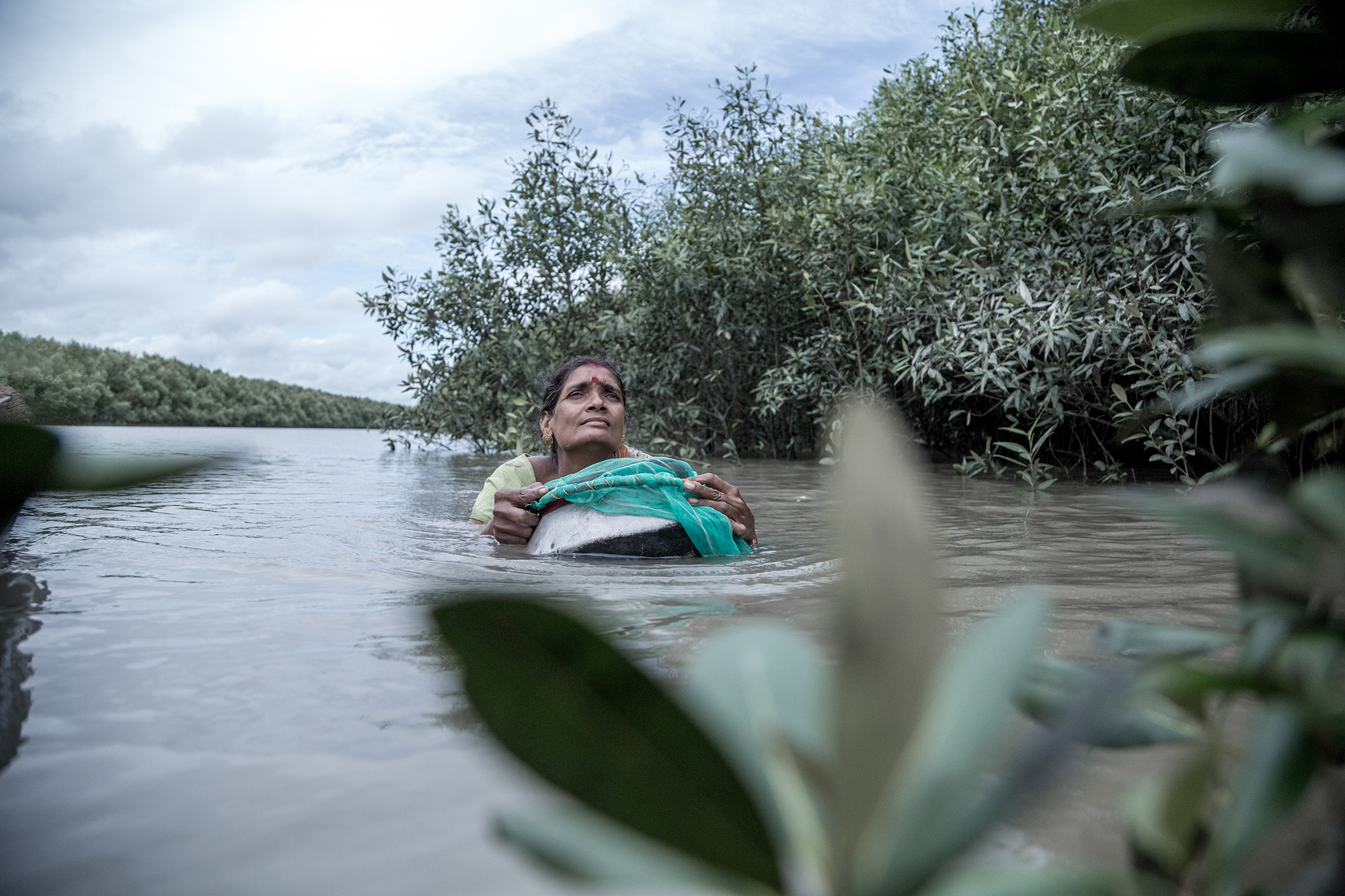 Sinking Sundarbans