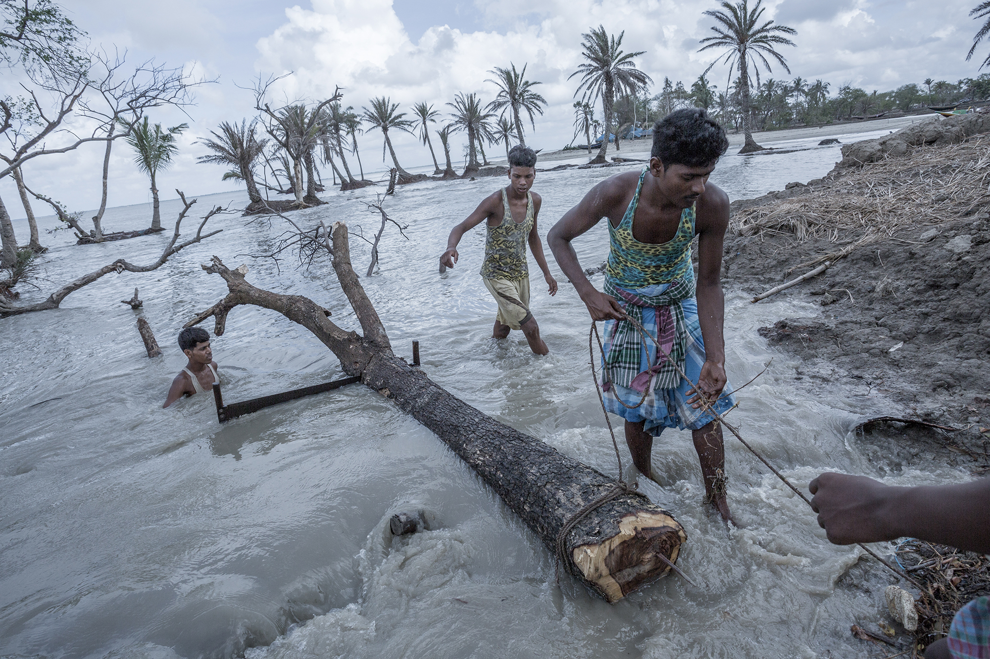Sinking Sundarbans