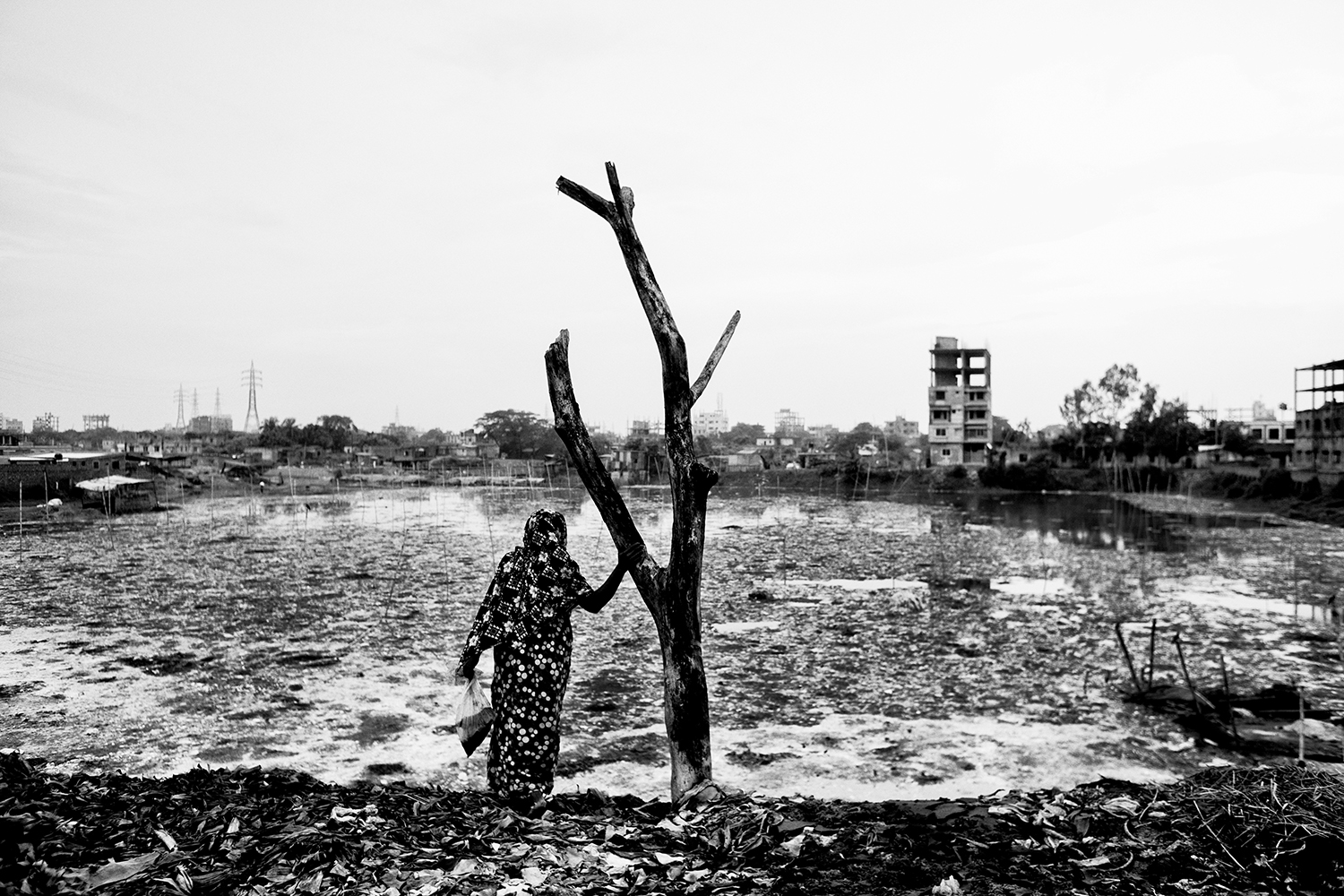 10 - Contaminated Land_10 - 9735666d-9dad-4eca-9490-9e9f81e2c940.jpg