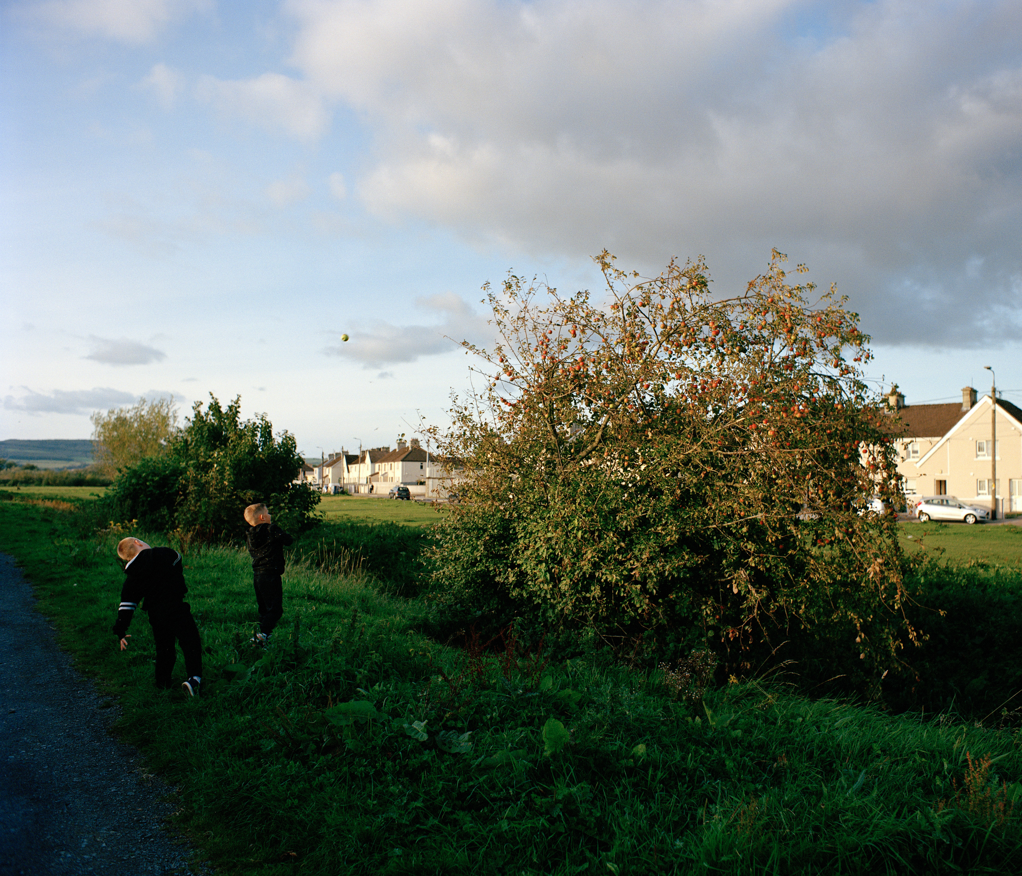 Youth of the Island Field