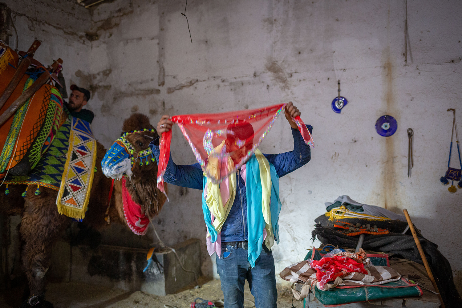 Camel Beauties Wrestle: The Cultural Phenomenon of Selcuk Camel Wrestling