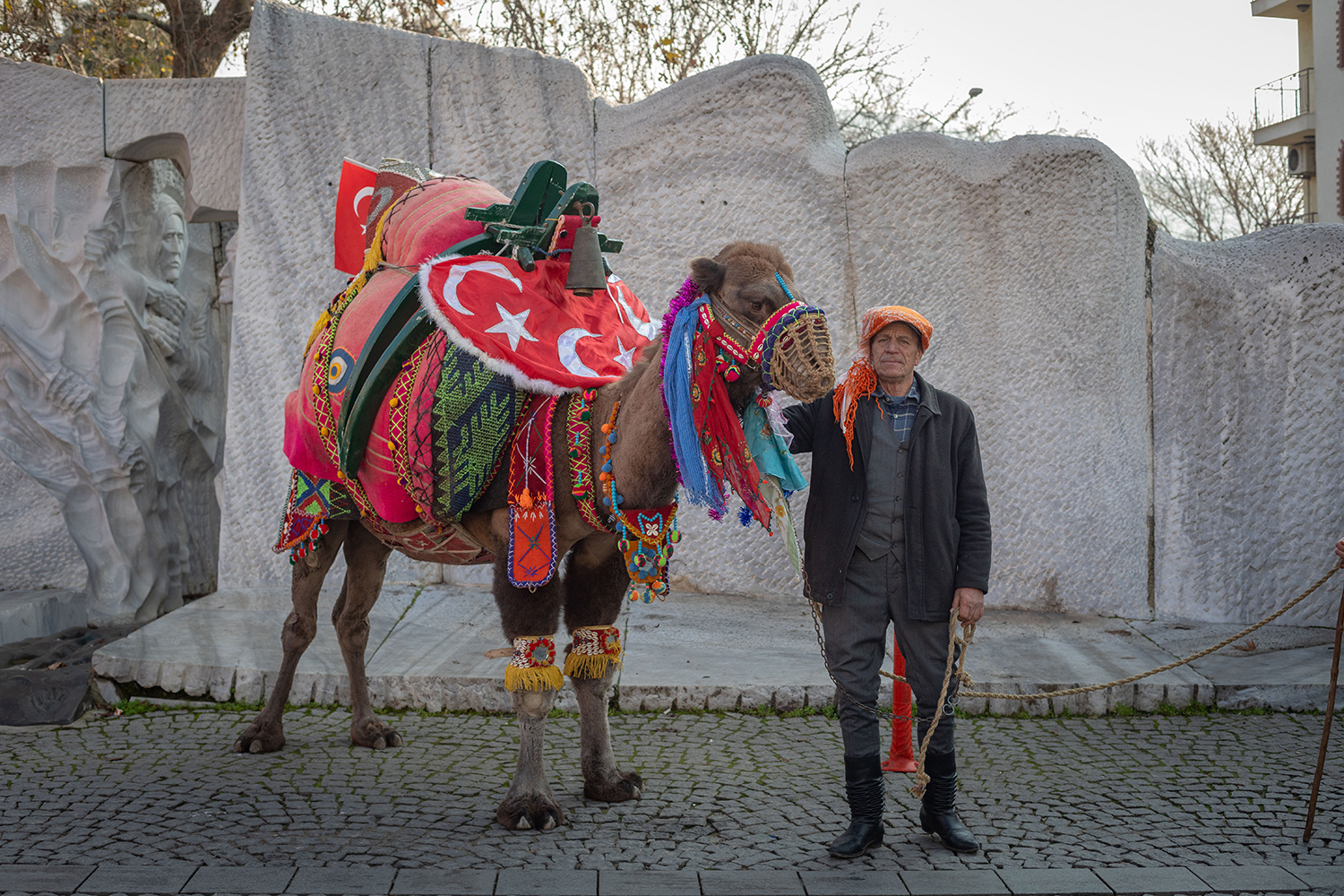Camel Beauties Wrestle: The Cultural Phenomenon of Selcuk Camel Wrestling
