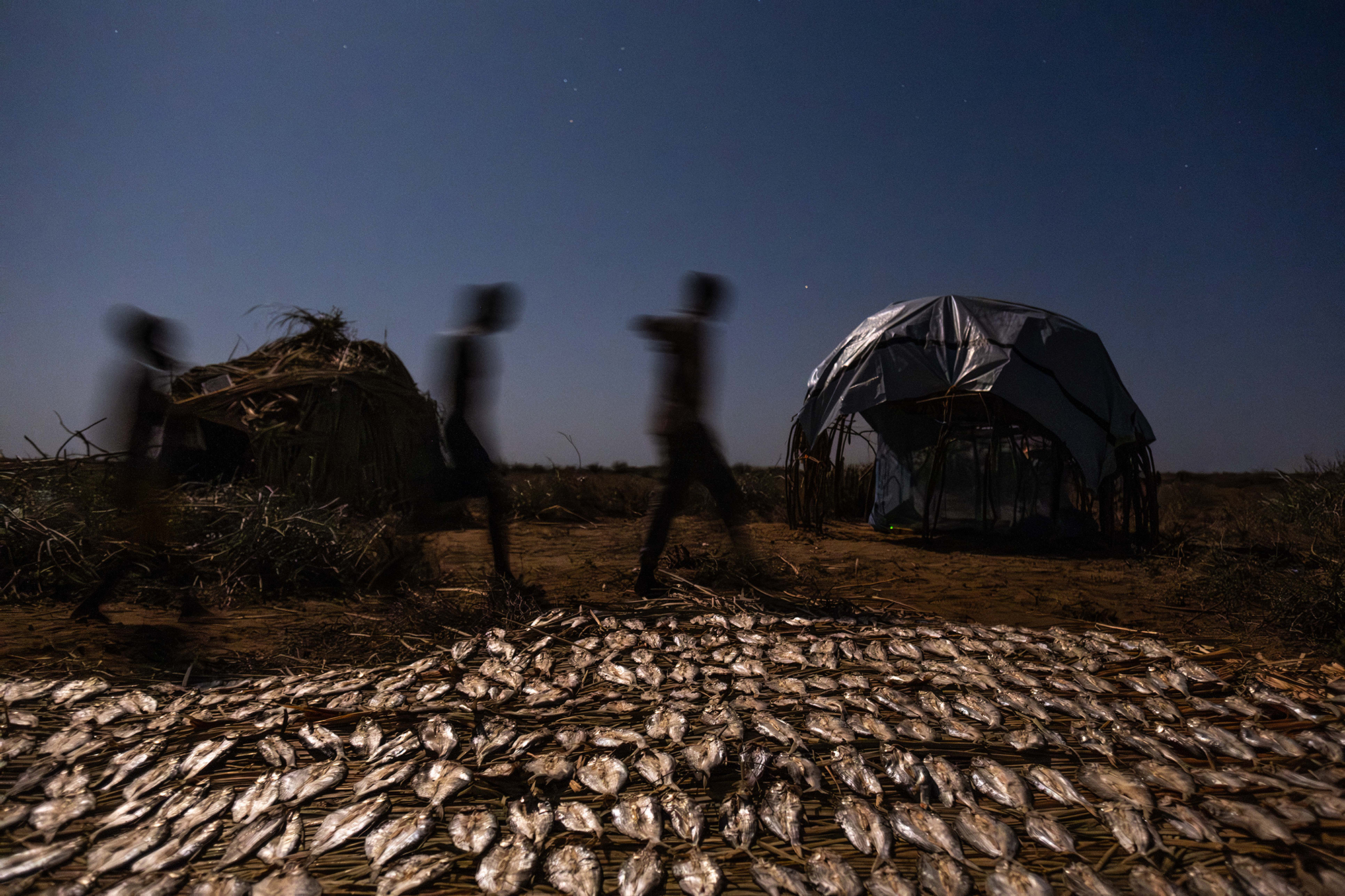 9 - Turkana_9 - e7f9795e-6a7f-42bb-9a1d-32c25a58df57.jpg