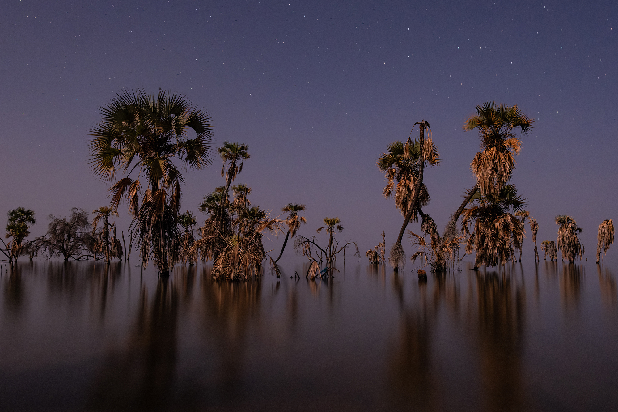 4 - Turkana_4 - 18f54deb-c5d7-4cbf-8798-a7c425ed2e3d.jpg
