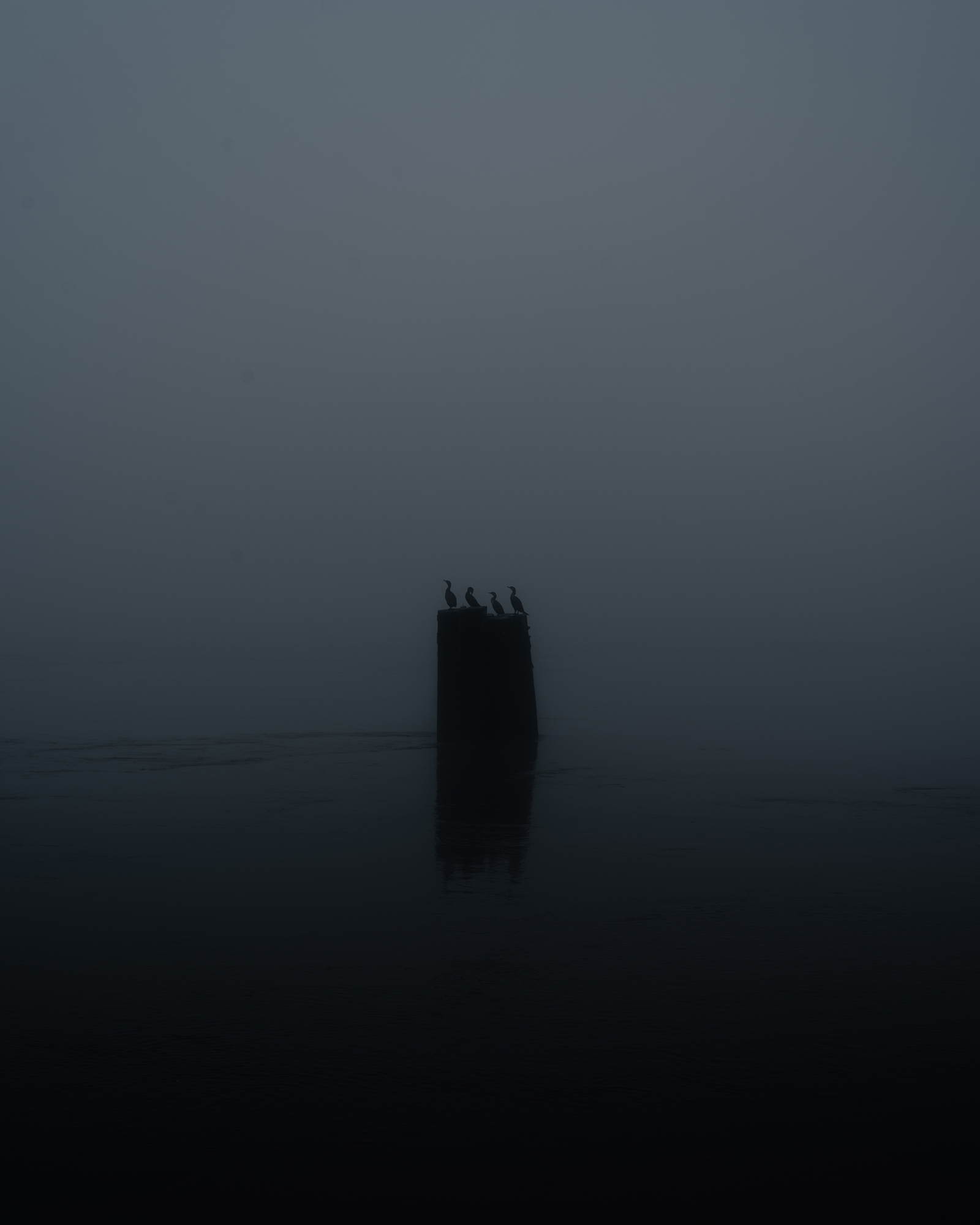 Birds Of Passage