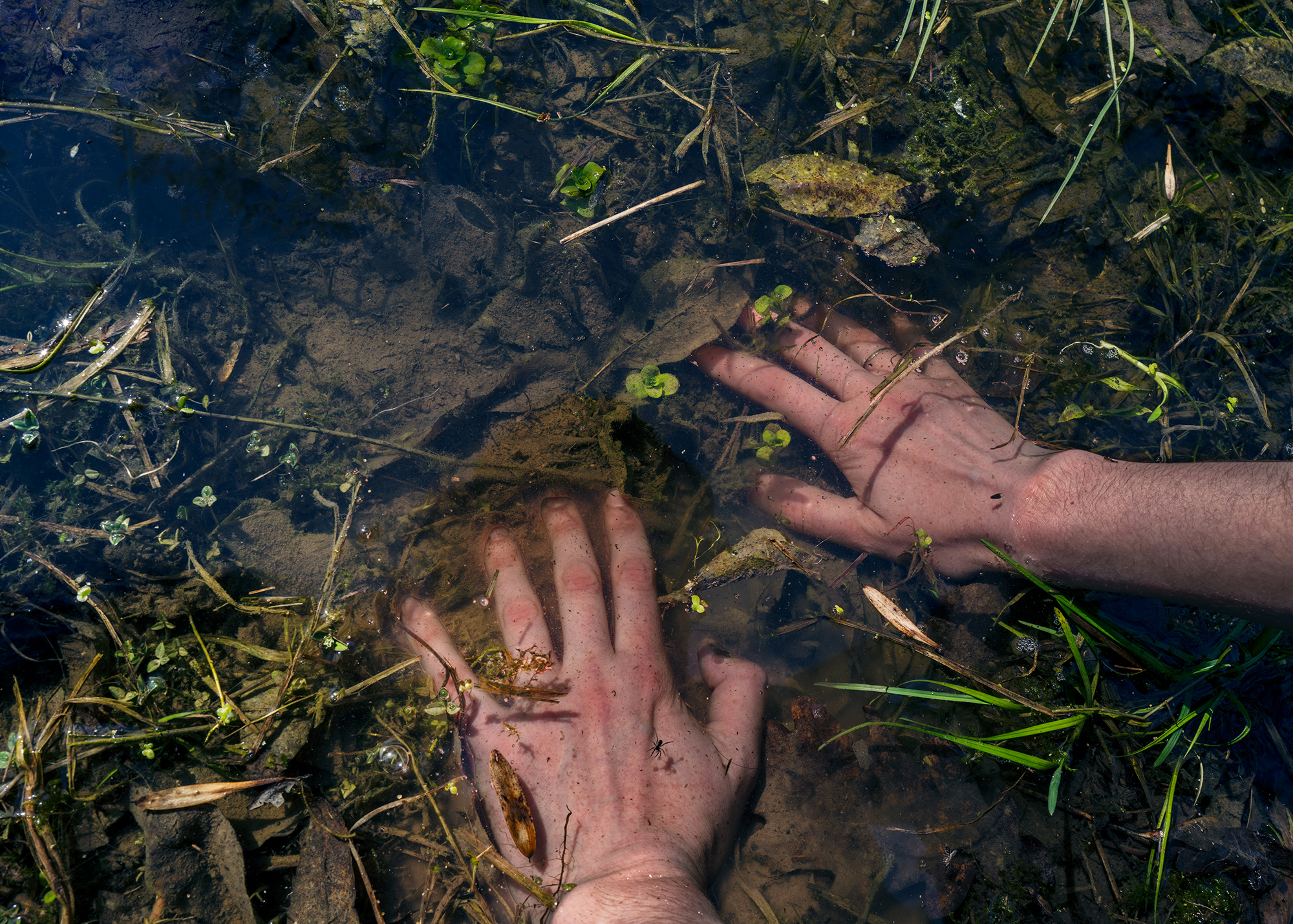 7 - Dip Into Sacred Pond - 4d80dfc0-0173-4f8f-9849-29302e98edec.jpg