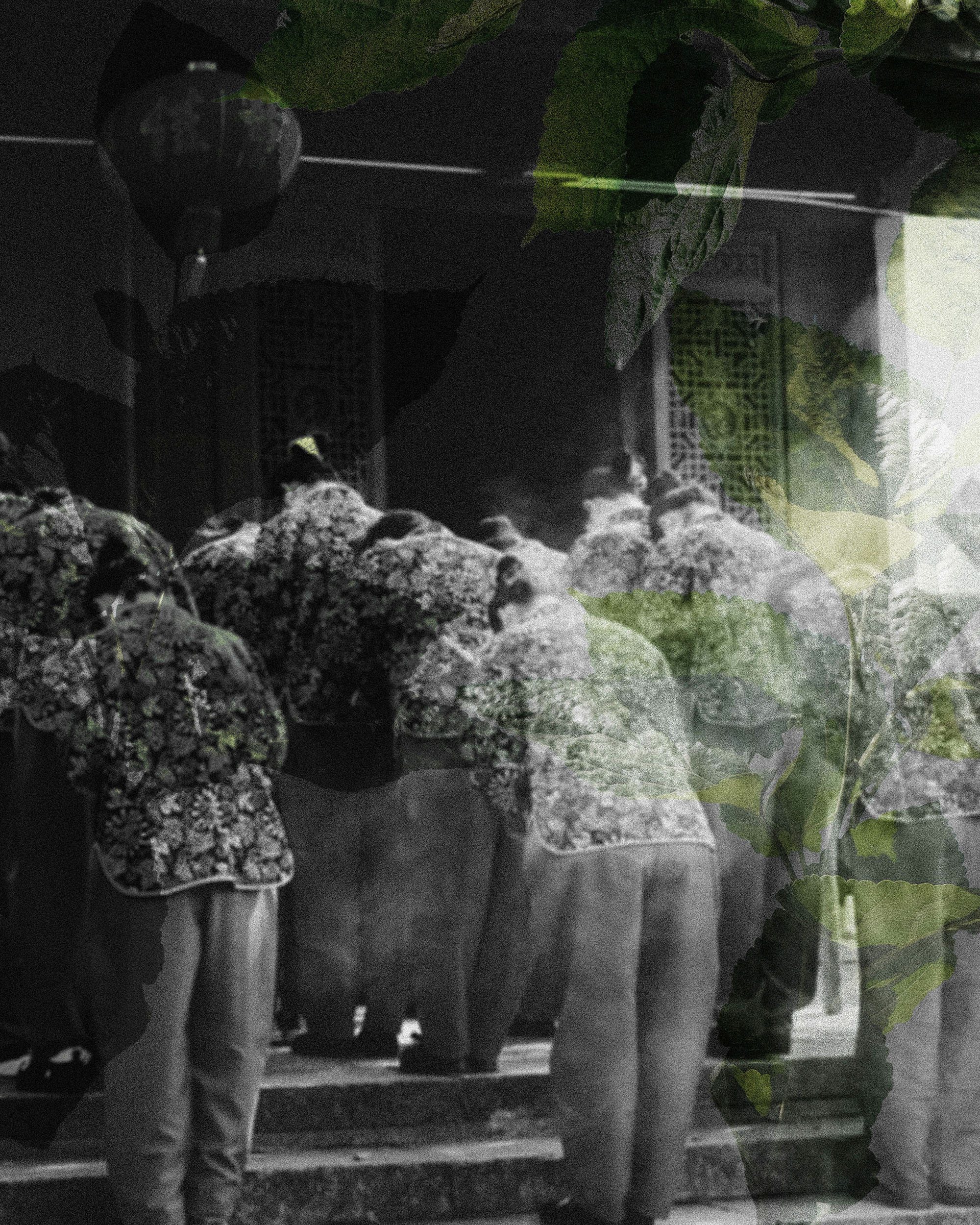 10 - Blessing - 1487e130-b584-4c4d-aa4e-0f83fa55026e.jpg